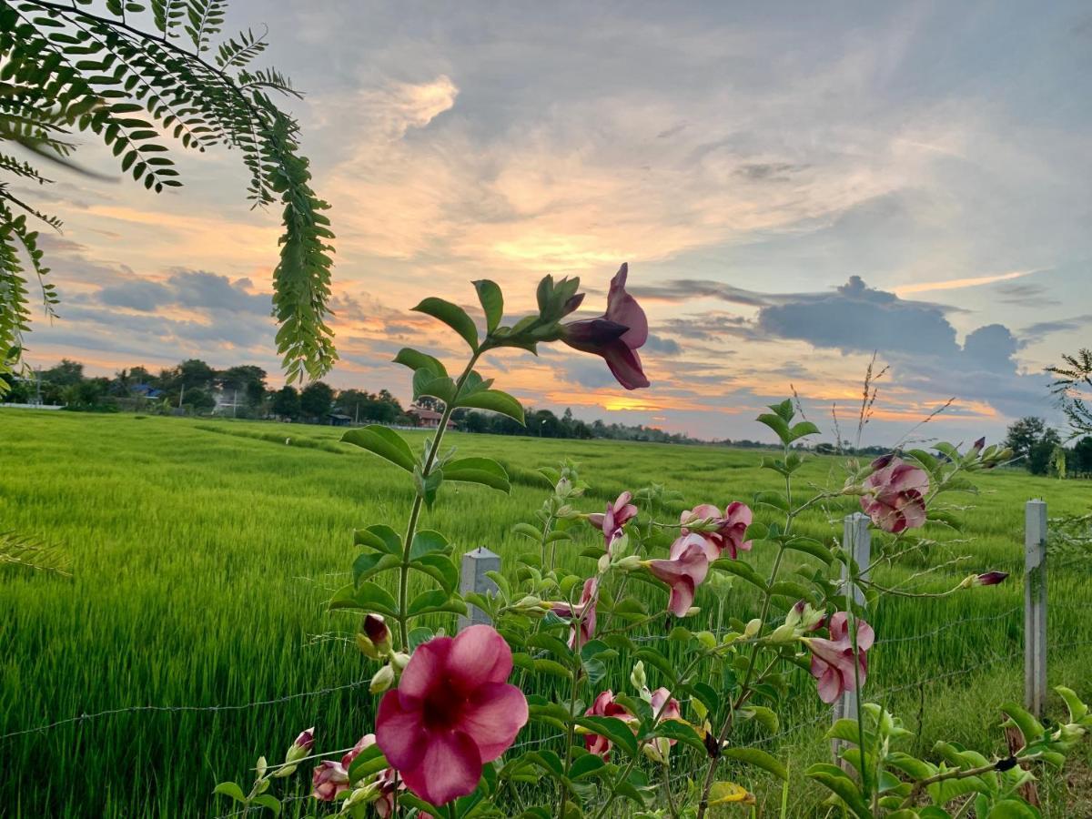 Rang Robin Farmstay Ban Wang Muang Buitenkant foto